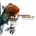 Strapping Young Lad The New Black
