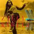 Ziggy Marley Dragonfly