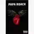 Papa Roach Live and Murderous in Chicago