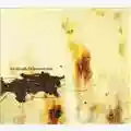Nine Inch Nails The Downward Spiral