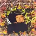 Van Morrison A Sense Of Wonder