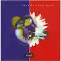Dave Matthews Band Crash