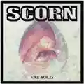 Scorn Vae Solis