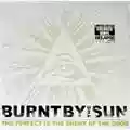 Burnt By The Sun The Perfect Is The Enemy Of The Good