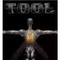 Tool Salival