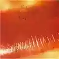 The Cure Kiss me Kiss me Kiss me
