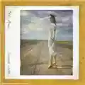 Tori Amos Scarlet's Walk