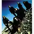 Lacuna Coil The EPs