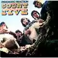 Count Five Psychotic Reaction