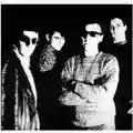 Television Personalities The Painted World