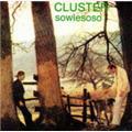 Cluster Sowiesoso