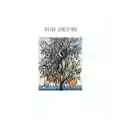 Talk Talk Spirit Of Eden