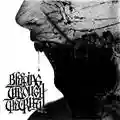 Bleeding Through The Truth