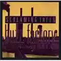Screaming Trees Buzz Factory