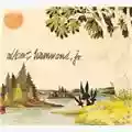 Albert Hammond Jr. Yours To Keep
