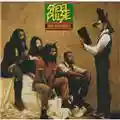Steel Pulse True Democracy