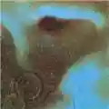 Pink Floyd Meddle
