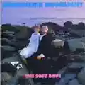 Soft Boys Underwater Moonlight