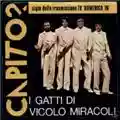 I Gatti di Vicolo Miracoli Capito?!/Verona Beat