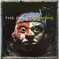 The Cult Dreamtime