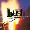 Bush Razorblade Suitcase