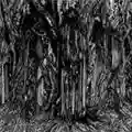 Sunn O))) Black One