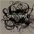 Borknagar Origin
