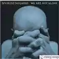 Breaking Benjamin We're Not Alone Here