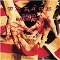 David Baerwald Triage
