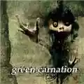 Green Carnation The Quiet Offspring