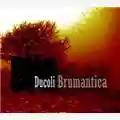 Alessandro Ducoli Brumantica