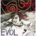 Sonic Youth Evol