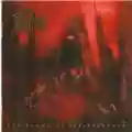 Death The Sound Of Perseverance