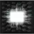 Tool Aenima