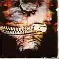 Slipknot Vol.3 (The Subliminal Verses)
