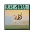 Jesus Lizard Down