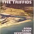 The Triffids Born Sandy Devotional