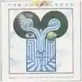 The Chameleons What Does Anything Mean? Basically