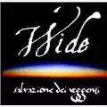 Wide Salvazione Dei Veggenti