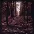 Vordven Woodland Passage