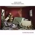 Sonic Youth The Destroyed Room
