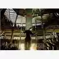 Robbie Williams Lovelight