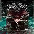 Borknagar Empiricism