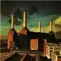 Pink Floyd Animals