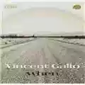 Vincent Gallo When