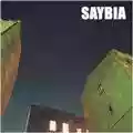Saybia The Second You Sleep