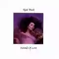 Kate Bush Hounds Of Love