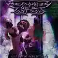 Memories Of A Lost Soul Distorted Perceptionz
