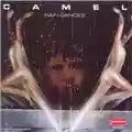 Camel Rain Dances