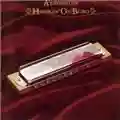 Aerosmith Honkin' On Bobo